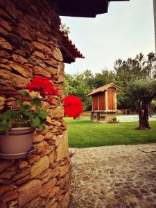 Séjour à la campagne Casas do Prazo - Turismo Rural Rua Barroso 343 4925-510 Nogueira Région Nord