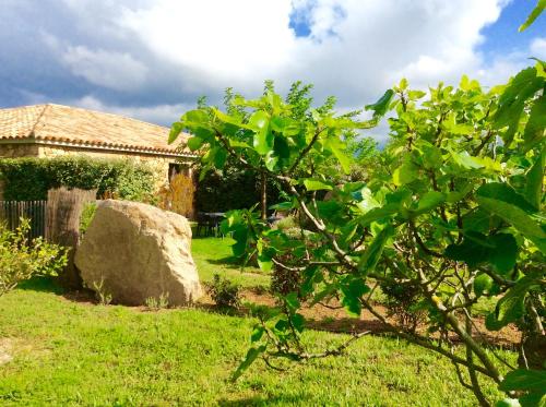 Clos Simoni
