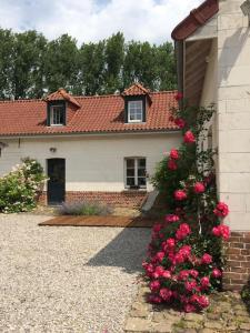 Domaine d'Antigneul