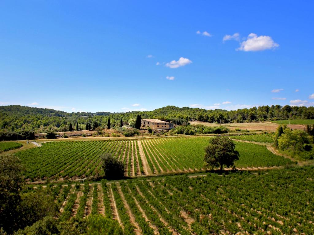 Séjour à la campagne Domaine De Palatz D111 Route De Villeneuve Laure Minervois 11800 Laure-Minervois