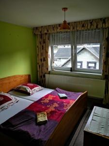Gehlberger Landhaus am Schneekopf / Ferienwohnung