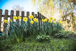 GITES CURCUMA et COMPAGNIE