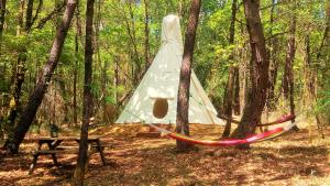 Grand tipis confortable et chalet en rondin du Grand Peuch Lascaux en Périgord