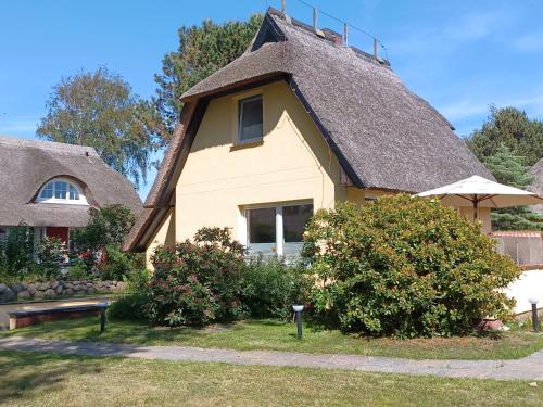 Haus Seestern