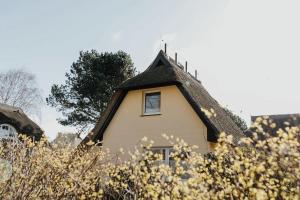 Haus Seestern