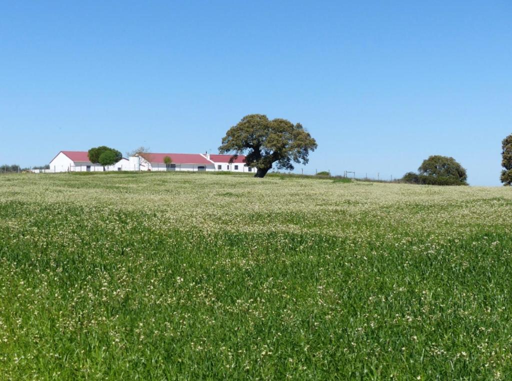 Herdade da Carapuça Urra Urra, 7300-575 Portalegre