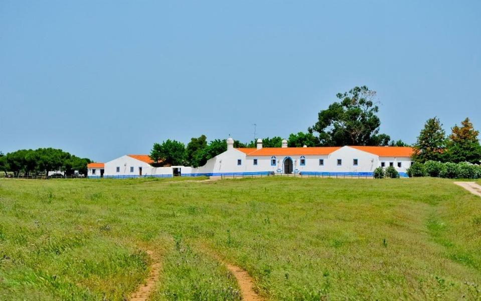 Herdade da Negrita Santo Aleixo da Restauração, 7875 - 101 Santo Aleixo