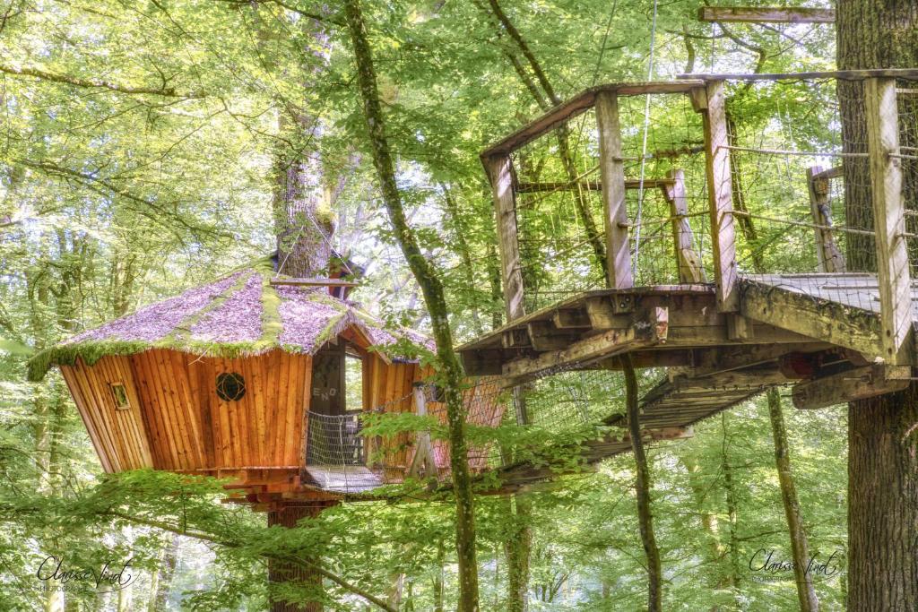 L'Arbre à Cabane Les Vignes, 52400 Guyonvelle