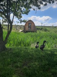La Ferme de la loge