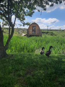 Séjour à la campagne La Ferme de la loge La Ferme de la Loge 02400 Épaux-Bézu Picardie