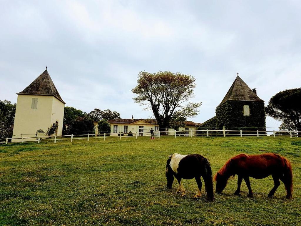 Séjour à la campagne La Jouissiere La Jouissière 33760 Soulignac