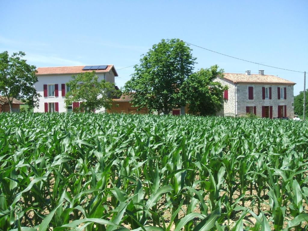 Séjour à la campagne La Vigneraie lieu dit \ 47160 Damazan