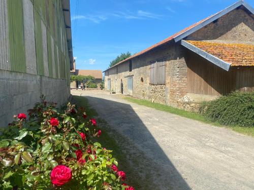 le petit lotis