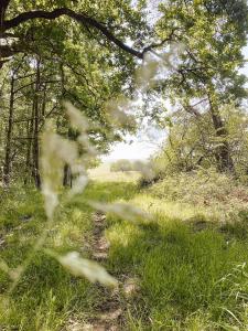 Le Val Suzenay