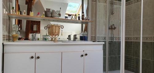 maison avec piscine et jardin arboré