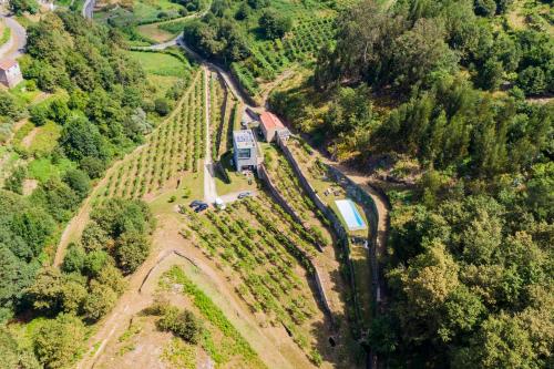 Melgaço Alvarinho Houses