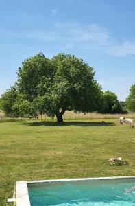 Monte das Cobras - Country House