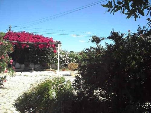 Monte dos Sabores