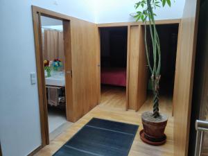 Mourilhe Guest House