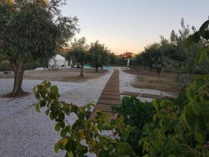 Oliveira Country House