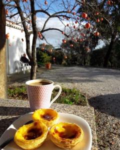 Quinta da Barroquinha
