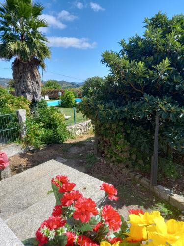 Quinta da Casa Grande Pinheiro
