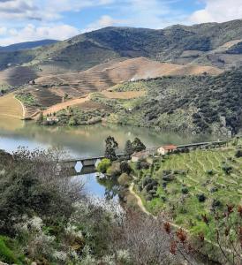 Séjour à la campagne Quinta da Ferradosa Wines Quinta da Ferradosa 5140-155 São João da Pesqueira Région Nord