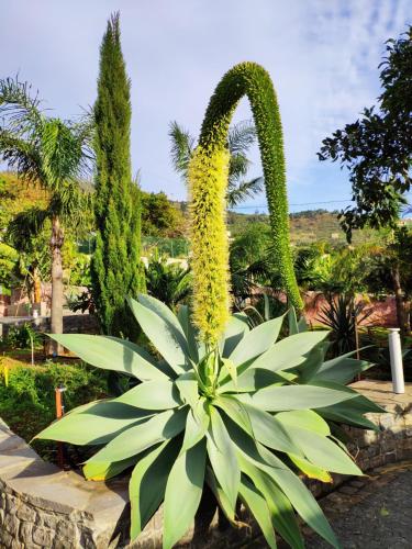 Quinta das Anoneiras