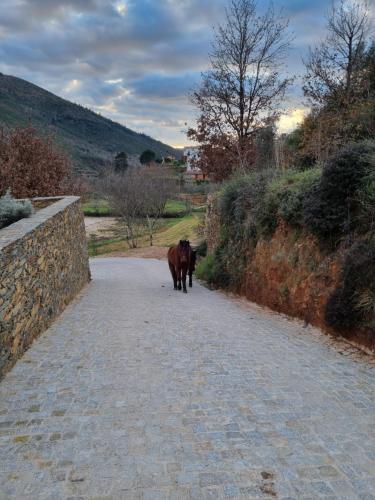 Quinta das Levadas - Country House & Nature