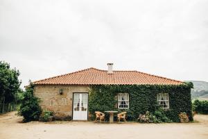 Séjour à la campagne Quinta De Guimaraes Lugar De Miguas 4640-467 Miguas Région Nord