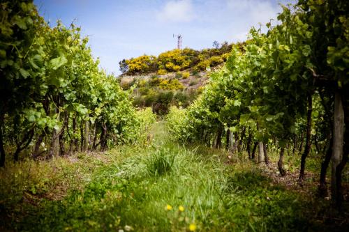 Quinta de Lourosa