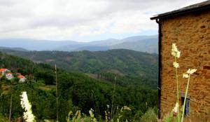 Quinta Do Caramulo