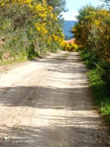 Quinta do Favacal - Agroturismo - Serra da Estrela