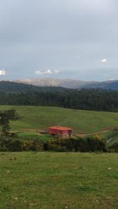 Séjour à la campagne Quinta do Favacal - Agroturismo - Serra da Estrela Quinta do Favacal -Casegas - Apartado 7 6215-380 Casegas Région Centre