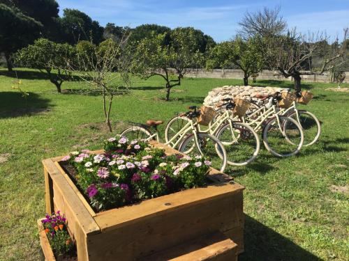 Quinta do Meco - Beach & Nature
