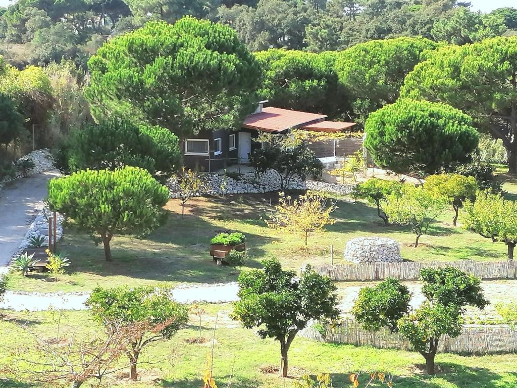 Séjour à la campagne Quinta do Meco - Beach & Nature Rua do comercio n 6 c 2970-067 Aldeia do Meco