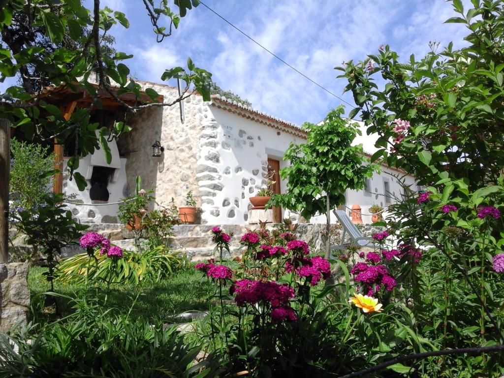 Séjour à la campagne Quinta do Tempo Turismo Rural Sitio da Nave, s/n 8550-319 Monchique