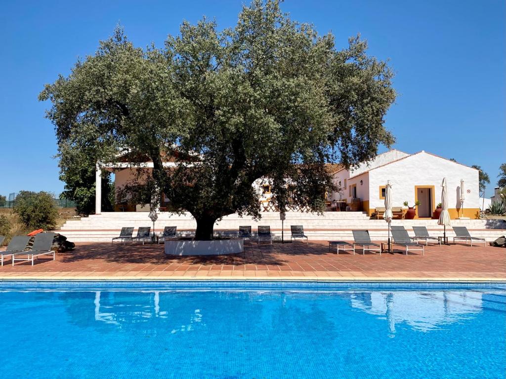 Quinta dos Amarelos Quinta dos Amarelos, 7450-250 Vaiamonte