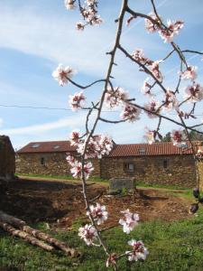 Séjour à la campagne Quinta dos Baldo Martim Tirado, Carviçais 5160-063 Freixo de Espada à Cinta Région Nord