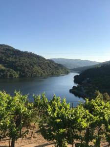 Quinta Vale do Cabo