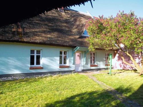 Reetgedecktes Ferienhaus Ulrichshorst