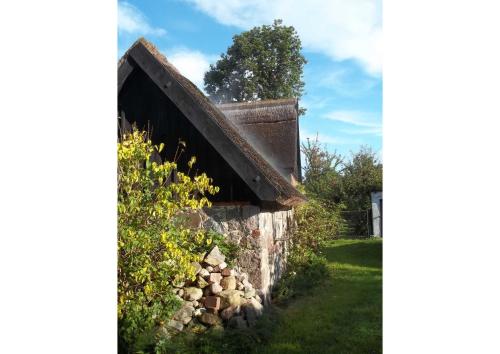 Reetgedecktes Ferienhaus Ulrichshorst