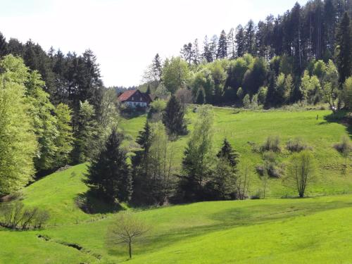 ruhiges Wohnen am Lama und Maine Coon Hof in Alleinlage in Biederbach 3 Zimmer mit Kochgelegenheit Bad