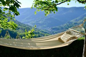 Solar da Castanha - Forest House