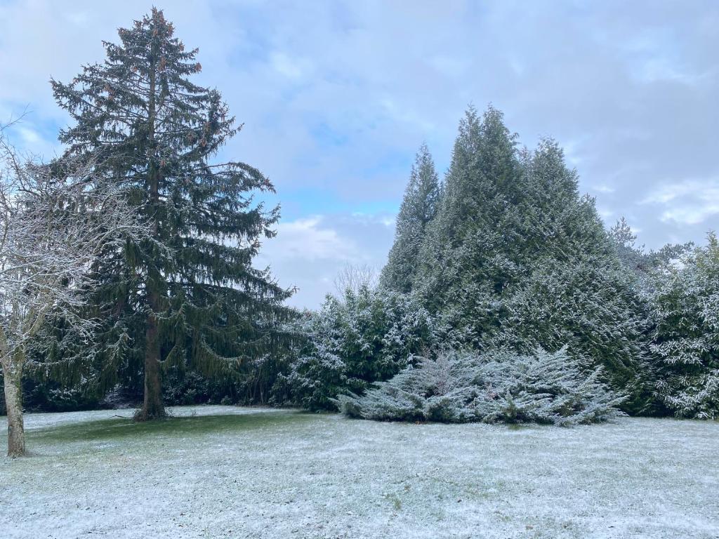 Spacieuse maison dans un parc privée 8 Basseneuille, 23300 Vareilles