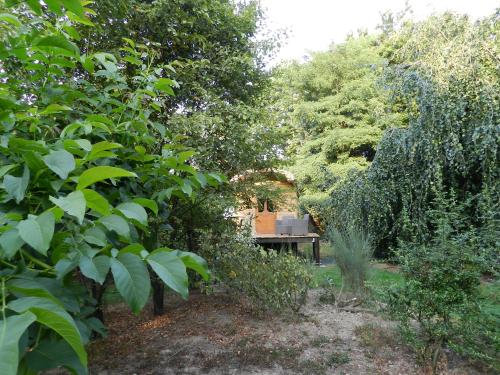 Tiny House Les Marlières