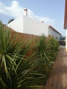 Vila Lira