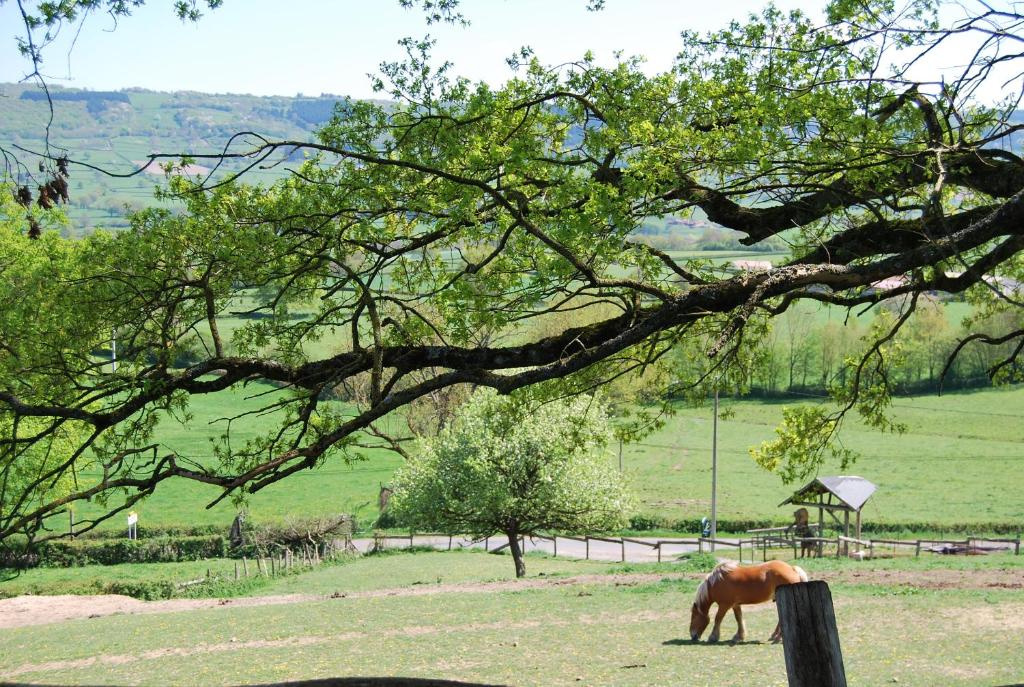 Séjour à la campagne Village.insolite Les auvergnats 71520 Montagny-sur-Grosne