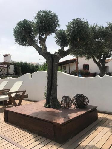Aleixo's House | Alentejo