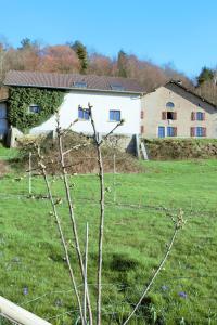 Séjour à la ferme Au Temps de la Source 35 BIS RUE DE VOIRGIMONT 88220 Raon-aux-Bois Lorraine